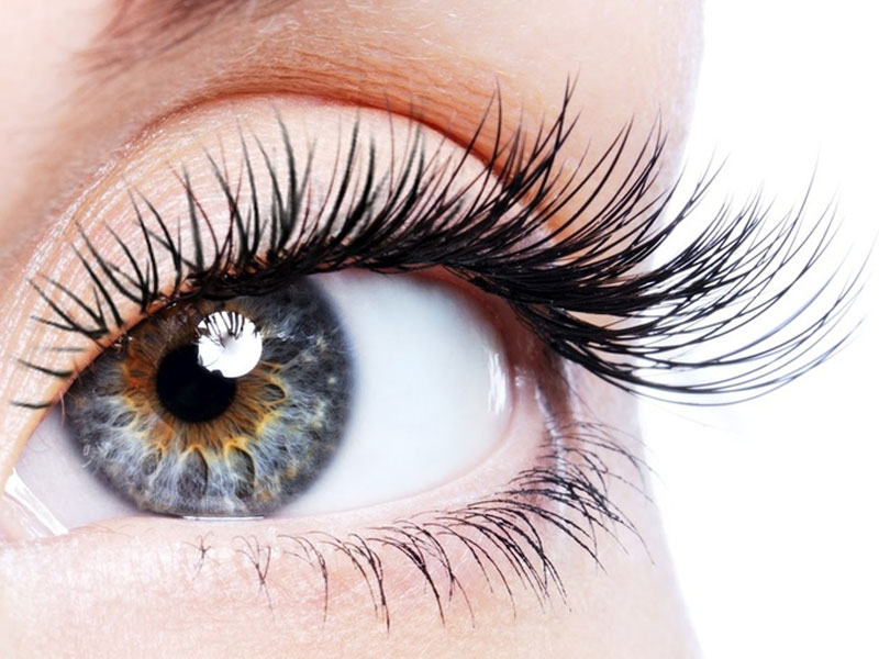 eyelashes-01